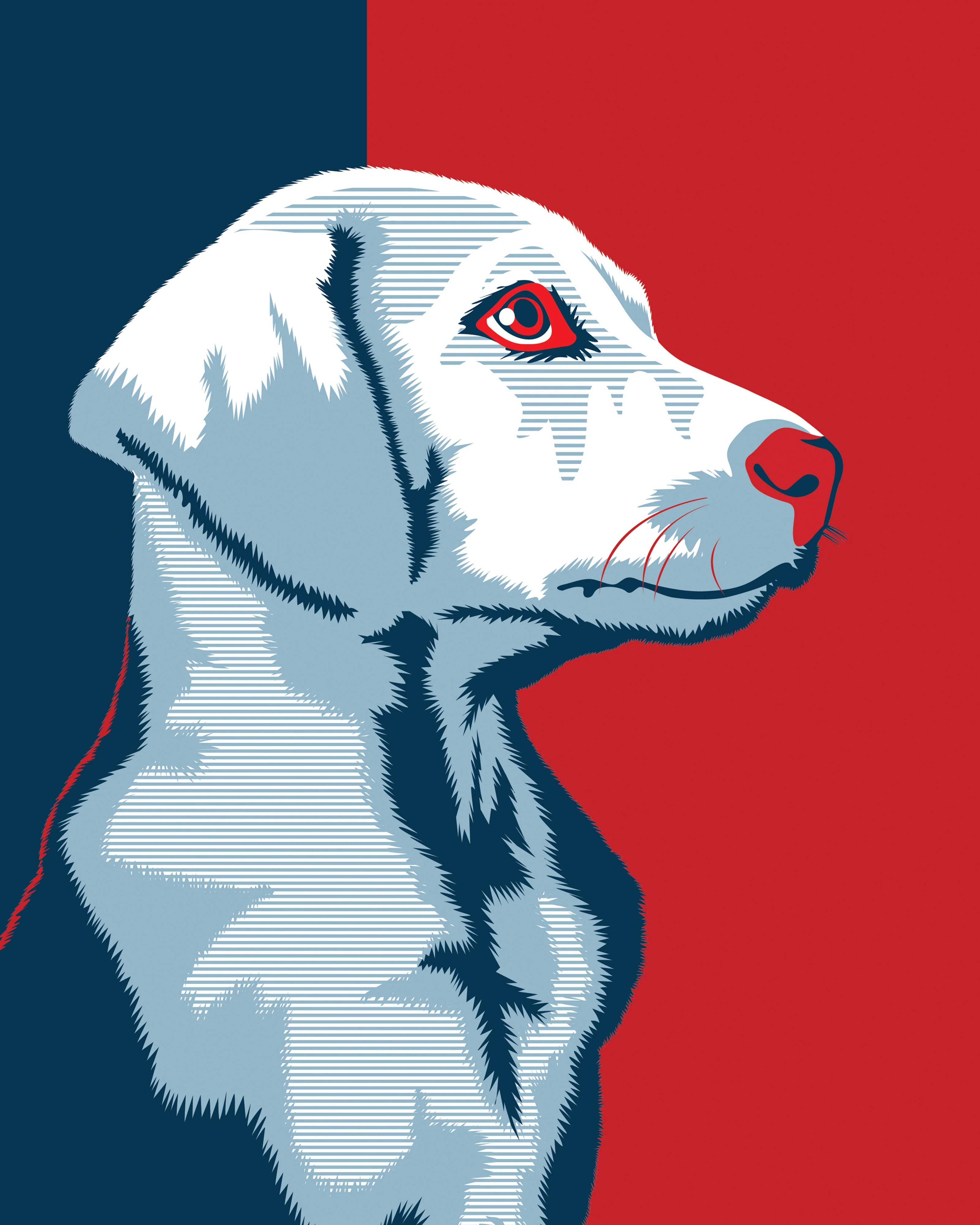 Obama Pet Art - Image 3